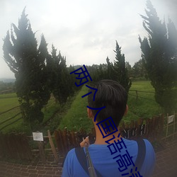 两个人国语高清在线观看