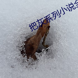 把灰(huī)系列(liè)小(xiǎo)说全集(jí)