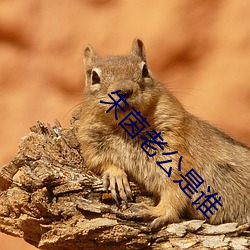 金年会(中国)官方网站
