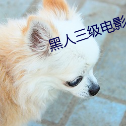 黑人三級電影