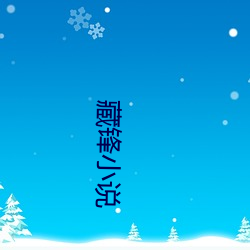 藏锋小(小)说