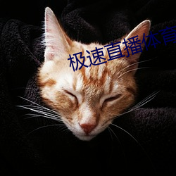 极速(速)直(直)播体(體)育(育)直(直)播