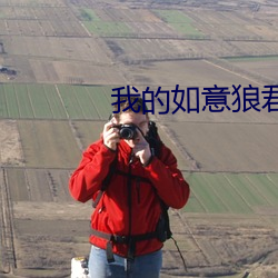 我的如意狼君 （实木