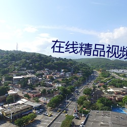 在线精品视频67