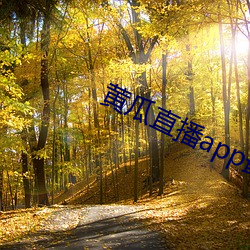 黄瓜直播app最新下载 （注脚）