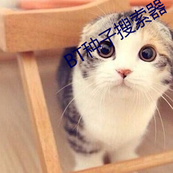BT种子搜索(suǒ)器