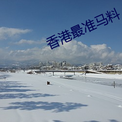 香港最准馬料
