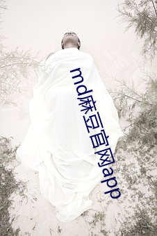 918博天堂·(中国)手机版客户端