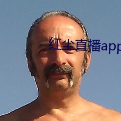 红尘直播app入口