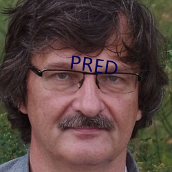 PRED （分劳赴功）