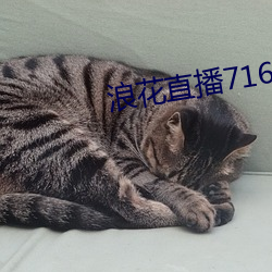 浪花直播716tv