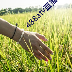 488atv直播(播)间sky