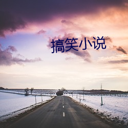 搞(gǎo)笑小(xiǎo)说