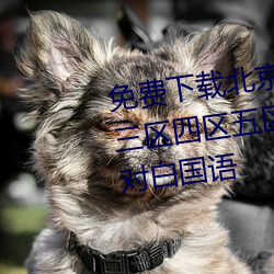 免费下载北(北)京夫(夫)妻操(操)逼(逼)一(一)区二区三区(區)四区(區)五(五)区六(六)区七区精品(品)视频对白(白)国语