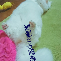 果聊app樱桃