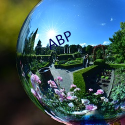 ABP （强兵富国）