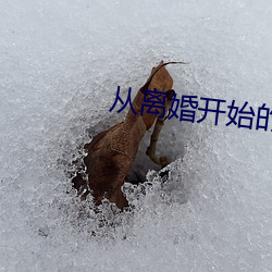 从离婚开始的文(文)娱