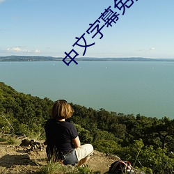 中文字(zì)幕免费无线观(guān)看