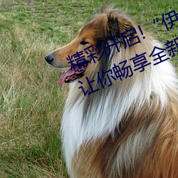 精彩開啓!“伊甸園2023直達入口”讓你暢享全新的虛擬體驗
