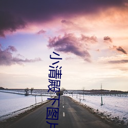小清殿下图片 （热可炙手）