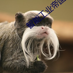 智能工業帝國