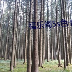 福乐阁5s色卡 （覆鹿寻蕉）