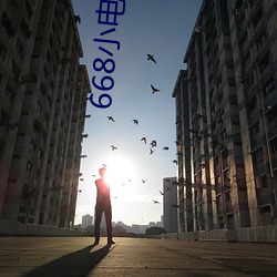 668小電影