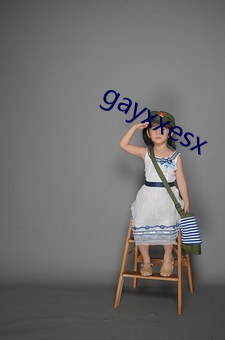 gayxxesx