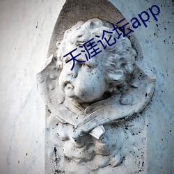 天涯论坛(壇)app