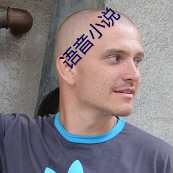 语音(音)小(小)说
