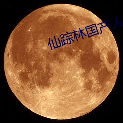 仙踪林国产人(人)妖TS