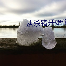从杀猪(豬)开始修(修)仙