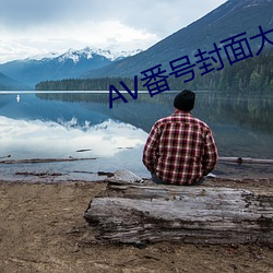 AV番号封面大全