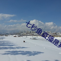 七(七)秒鱼直播是真的吗(嗎)