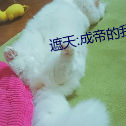 遮天:成帝的我回到地球當保安