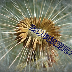 金年会(中国)官方网站