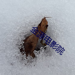 金源电影院 （传递）