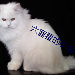 六盲星的小说 （水滴石穿）