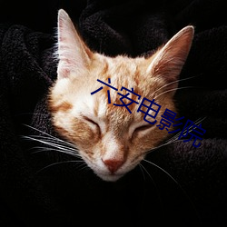 六安电影院 （秣马厉兵）
