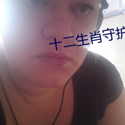 十(sh��)二生肖守护神小说