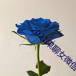 2021果聊女微信qq