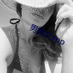 男操女app （纲举目张）
