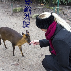 雷丝影视(視)视频