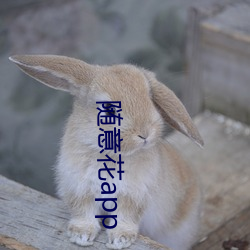 随意花app