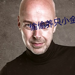 偷偷养只小金乌 （齰舌缄脣）