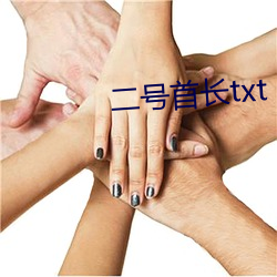 二号首长txt （搜寻）