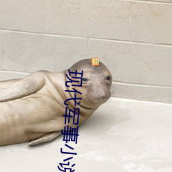 现代军事小说