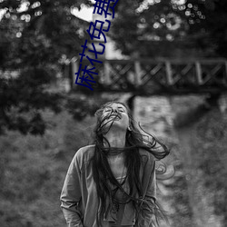 麻花免费的影视大全