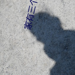 家有三个俏媳妇目录 誓死不屈）