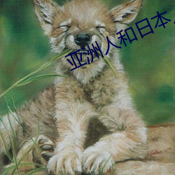 亚(yà)洲(zhōu)人和日本人jzz护士